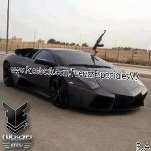 Meet your Posher, Luis